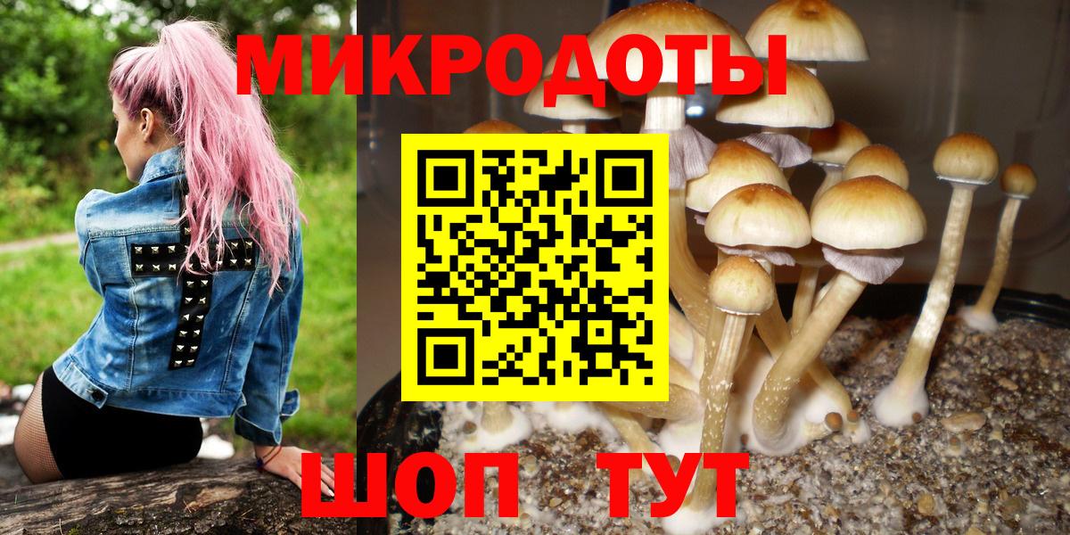 Галлюциногенные грибы Psilocybine cubensis Набережные Челны