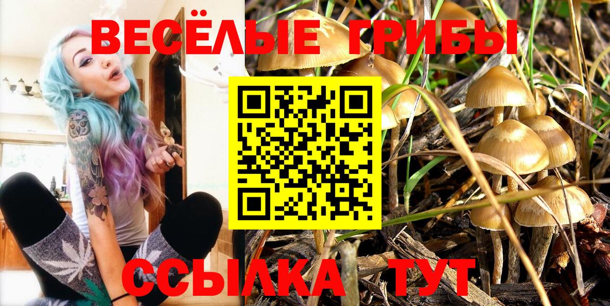 Набережные Челны  Галлюциногенные грибы GOLDEN TEACHER  хочу наркоту  Вход с VPN 